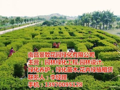 青山湖區園林綠化苗木租賃，一鍵解鎖“花園工廠”新美學